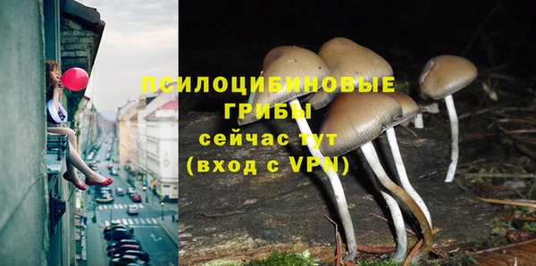 экстази Баксан