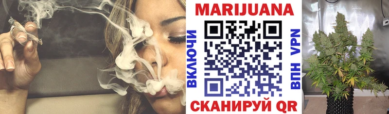 МАРИХУАНА сатива  Кохма 